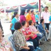 tailok 36